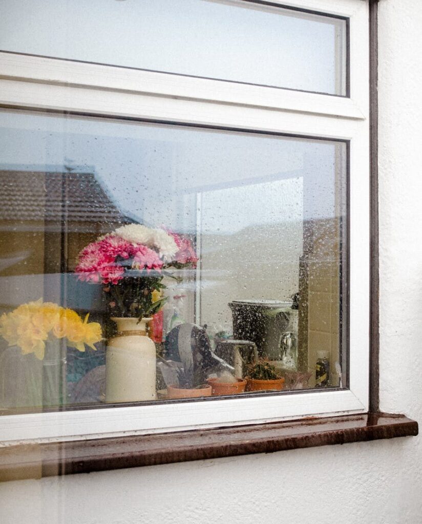 Vibrant flowers through a rain-speckled window create a serene scene.